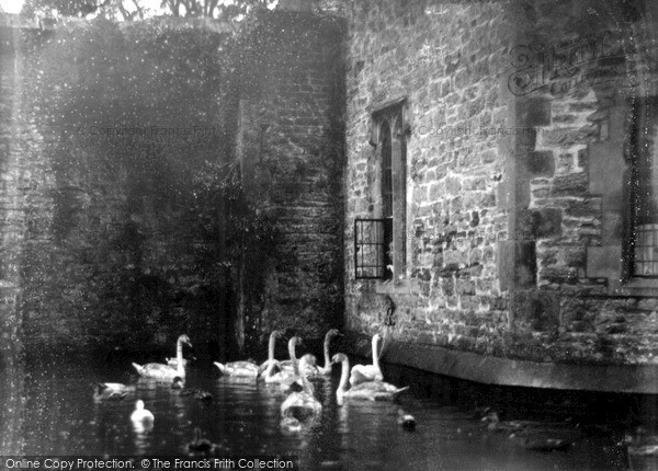 Photo of Wells, The Swans On The Palace Moat c.1920