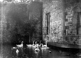 The Swans On The Palace Moat c.1920, Wells