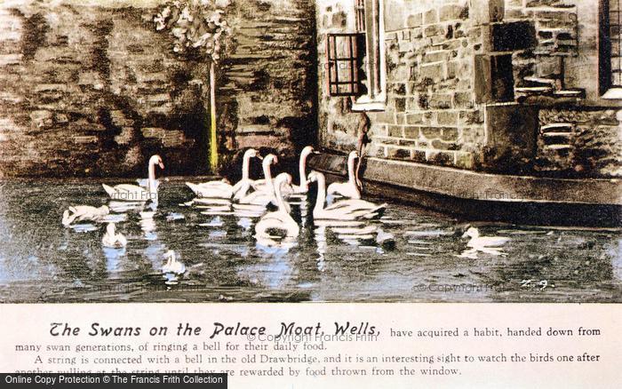 Photo of Wells, The Swans On The Palace Moat c.1920