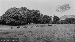 Powis Castle Park c.1955, Welshpool