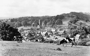 View From Red Bank c.1955, Welshpool