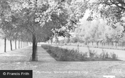 Parkway c.1955, Welwyn Garden City