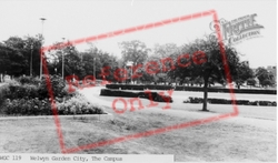 The Campus c.1965, Welwyn Garden City