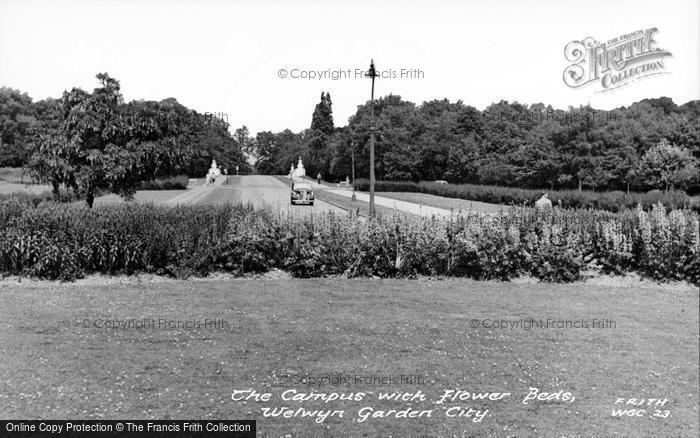 Photo of Welwyn Garden City, The Campus, Flower Beds c.1955