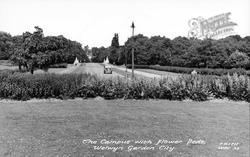 The Campus, Flower Beds c.1955, Welwyn Garden City