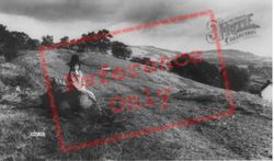 Country View c.1960, Wenallt