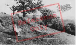 Welsh Girl c.1955, Wenallt