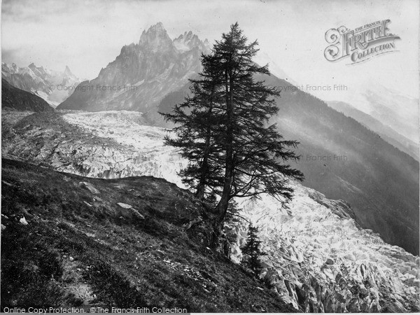 Photo of Wengernalp, The Glacier c.1880