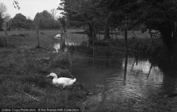 Photo of West Ashling, The Stream 1965