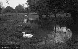 West Ashling, the Stream 1965