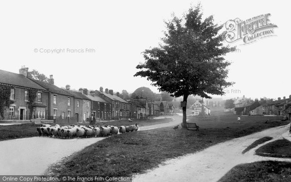 Photo of West Burton, Driving Sheep Through The Village 1929