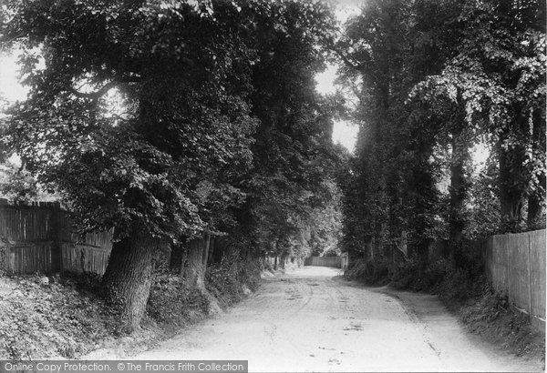 Photo of West Clandon, The Avenue 1907 - Francis Frith