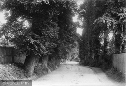 The Avenue 1907, West Clandon