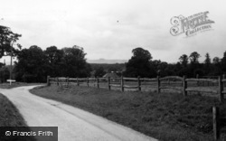 View Of Chanctonbury Ring c.1955, West Grinstead