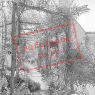 Arbour In Cottage Garden 1961, West Harptree
