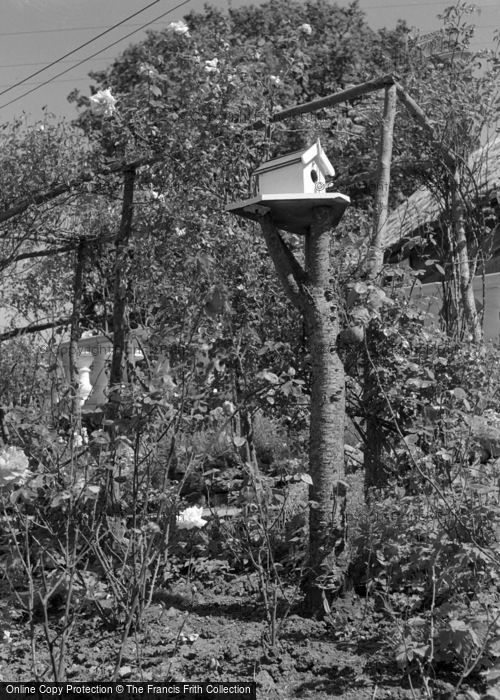 Photo of West Harptree, Cottage Garden 1961