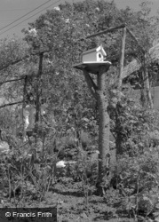 Cottage Garden 1961, West Harptree