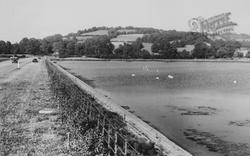 Swans On Chew Valley Lake c.1955, West Harptree