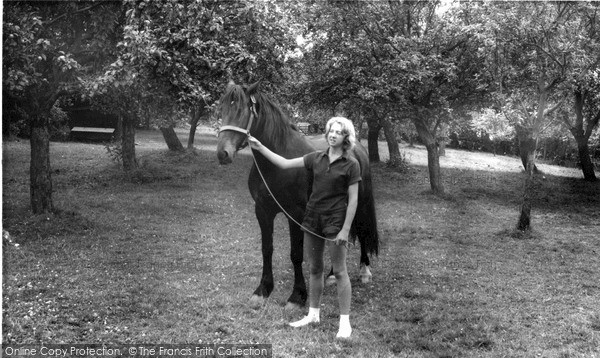 Photo of West Hoathly, Horse At Blackland Farm c.1965