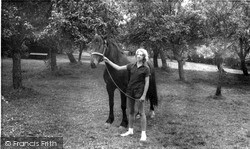Horse At Blackland Farm c.1965, West Hoathly