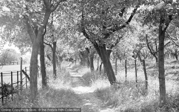Photo of West Kingsdown, Plum Tree Walk c.1955