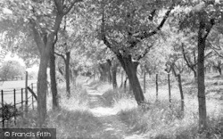 Plum Tree Walk c.1955, West Kingsdown