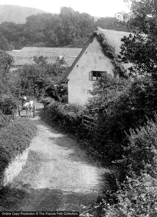 Photo of West Luccombe, The Village 1901