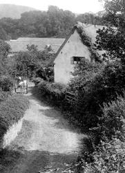 The Village 1901, West Luccombe