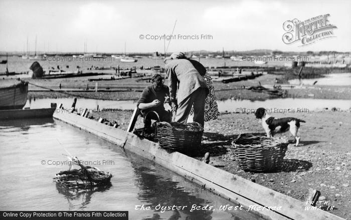 Photo of West Mersea, The Oyster Beds c.1955