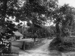 Entrance To Woods 1925, West Runton