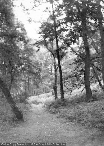 Photo of West Runton, The Woods c.1955