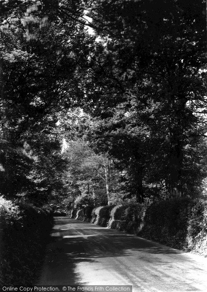 Photo of Westbury, A Leafy Lane c.1955 - Francis Frith