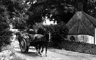 Westbury-Sub-Mendip, Horses And Cart c.1955, Westbury-Sub-Mendip