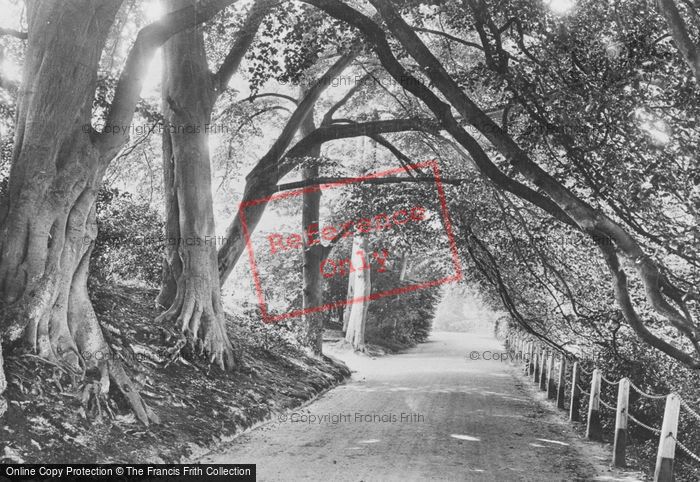 Photo of Westcott, Rookery Avenue 1925