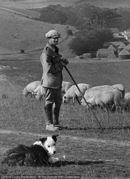 Photo of Westdean, Shepherd And Sheep Dog 1922