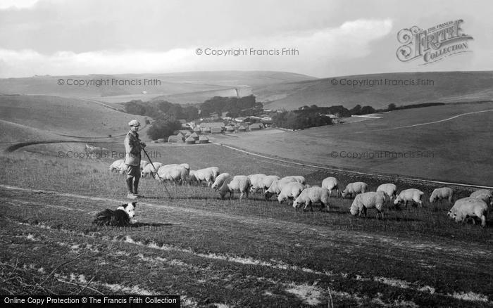 Photo of Westdean, Shepherd With His Flock 1922