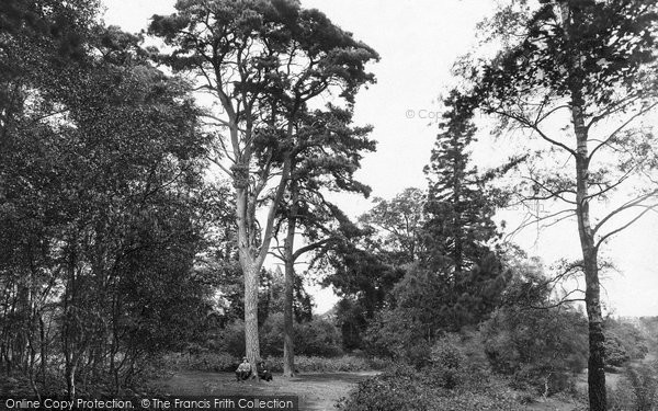 Photo of Westerham, Squerrys Wood 1925