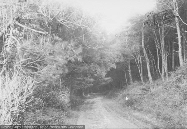 Photo of Weston Super Mare, Entrance To Woods 1890