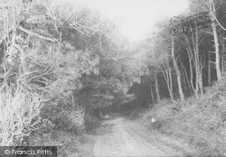 Entrance To Woods 1890, Weston-Super-Mare