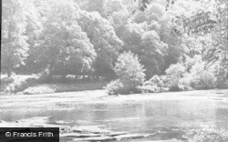 The River c.1955, Wetheral