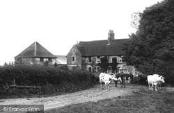 Ham Farm 1904, Weybridge