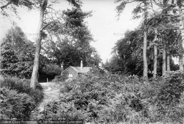 Photo of Weybridge, The Heath 1904