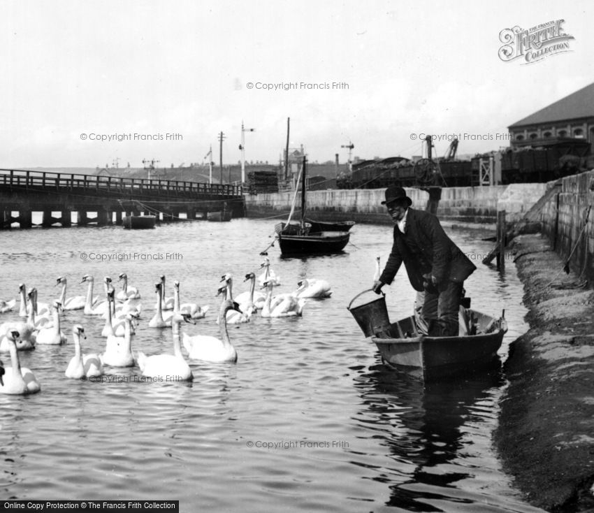 Weymouth, Feeding the Swans 1890