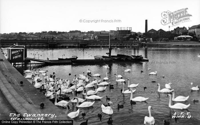 Photo of Weymouth, The Swannery, Radipole Lake c.1950