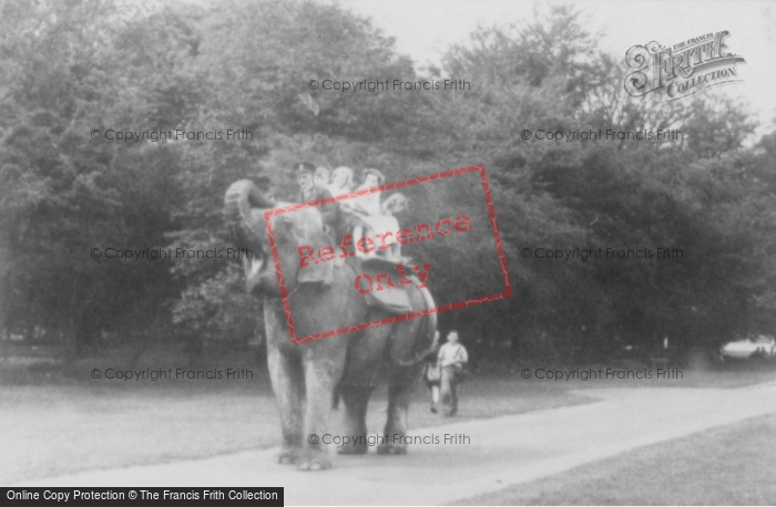 Photo of Whipsnade, Zoo, Elephant c.1960