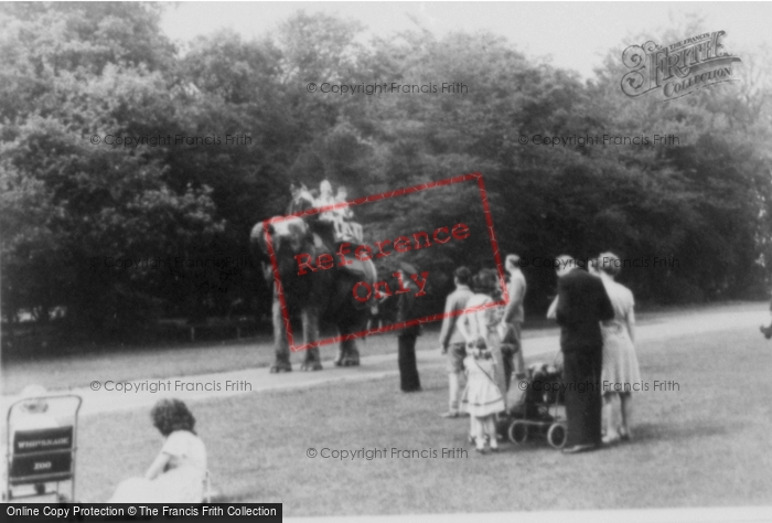 Photo of Whipsnade, Zoo, Elephant Lawn c.1960