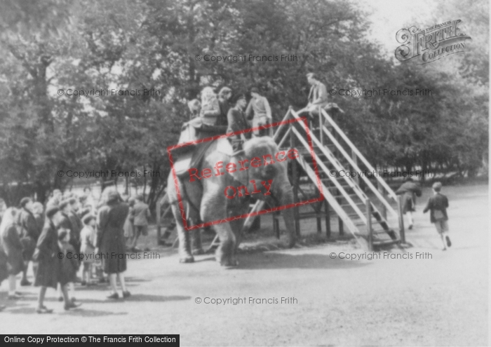 Photo of Whipsnade, Zoo, Elephant Ride c.1960