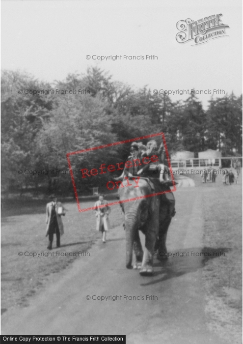 Photo of Whipsnade, Zoo, Elephant Walk c.1960