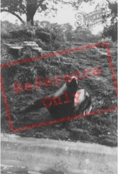 Zoo, Sea Lion c.1960, Whipsnade