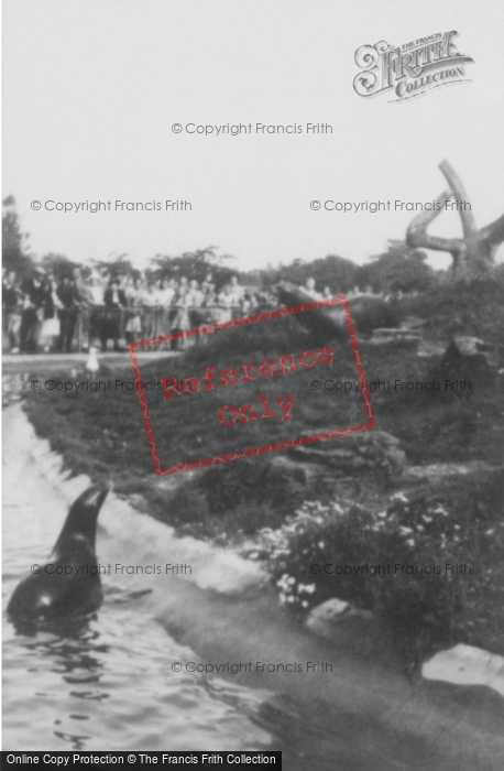 Photo of Whipsnade, Zoo, Sea Lion Island c.1960